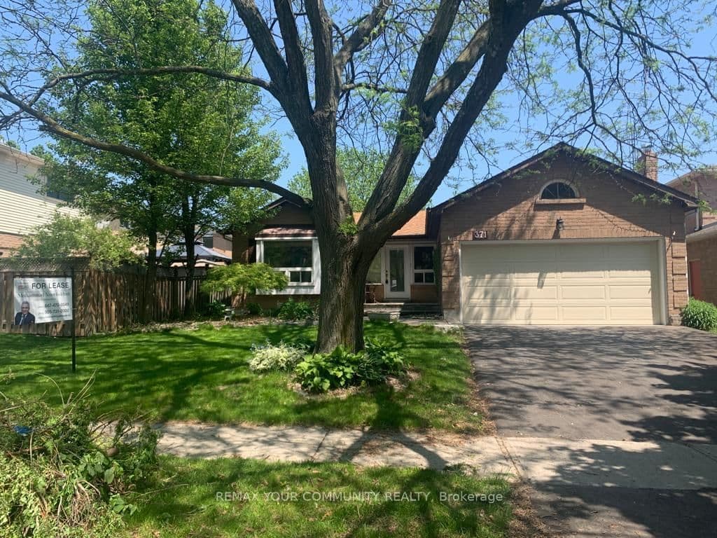 Basement - 371 Selby Crescent, Newmarket, ON