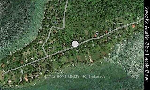 91 Snake Island Road, Georgina Islands, ON