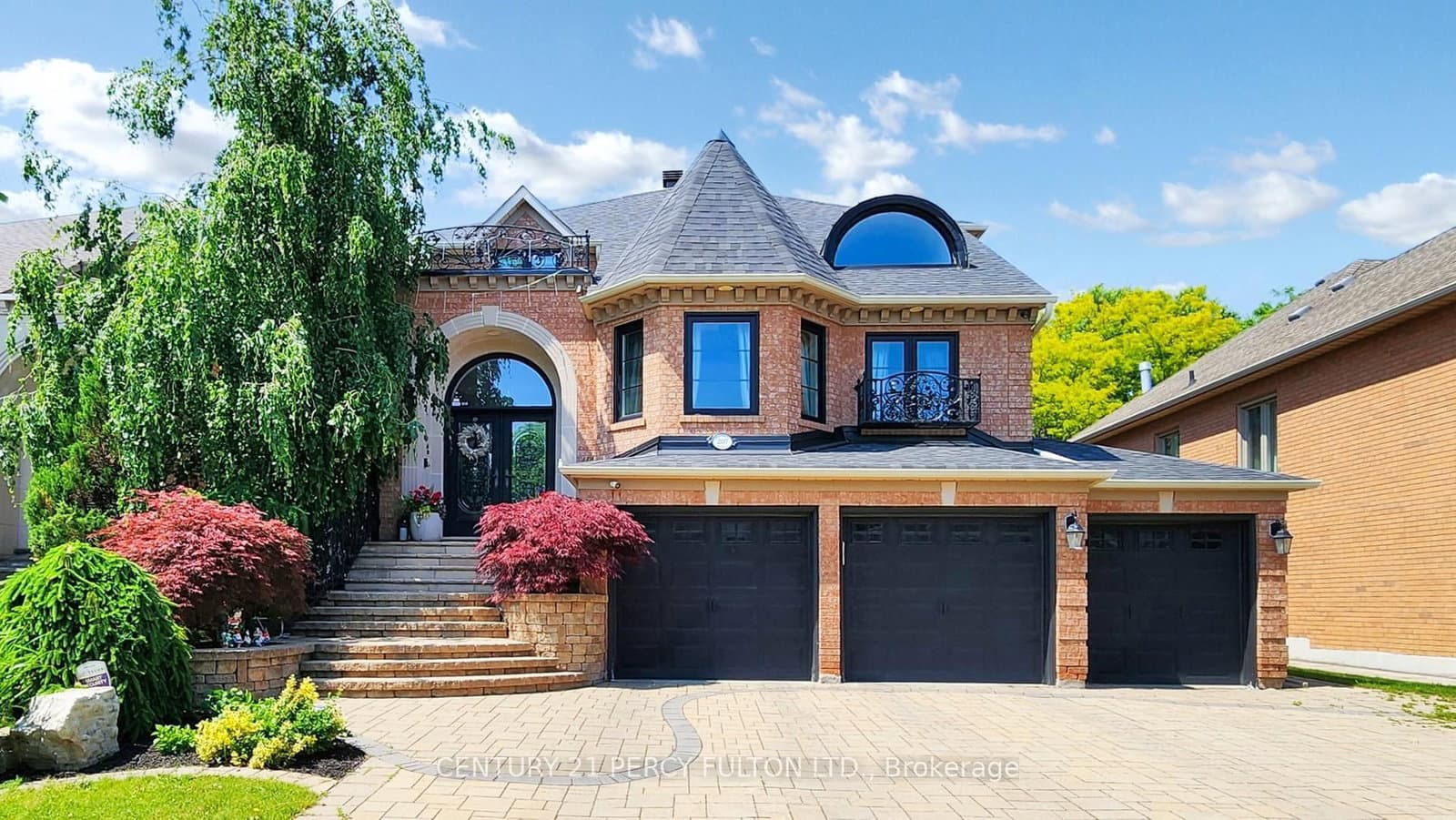 basment - 207 Shaftsbury Avenue, Richmond Hill, ON