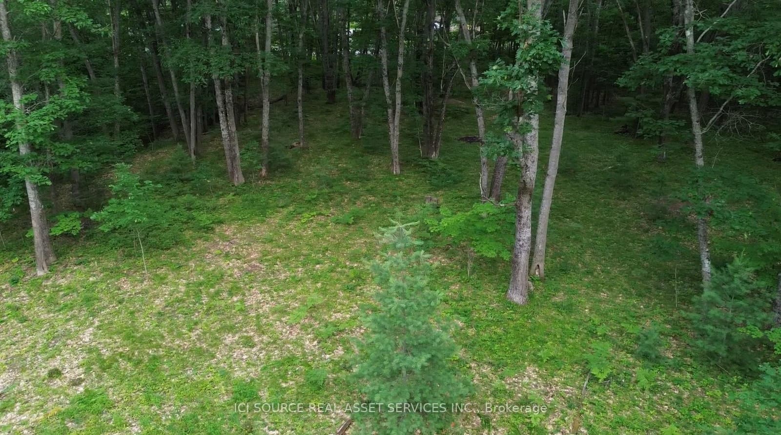 125 Ritchie Avenue, Ottawa, ON — photo 3