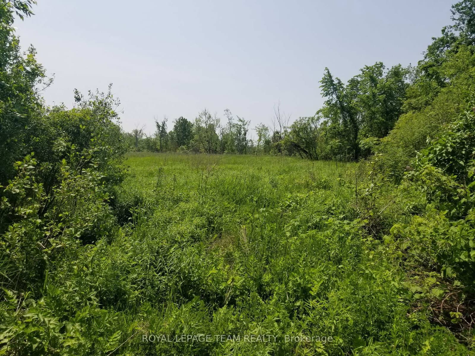 0000 Scrivens Drive, Metcalfe, ON — photo 2