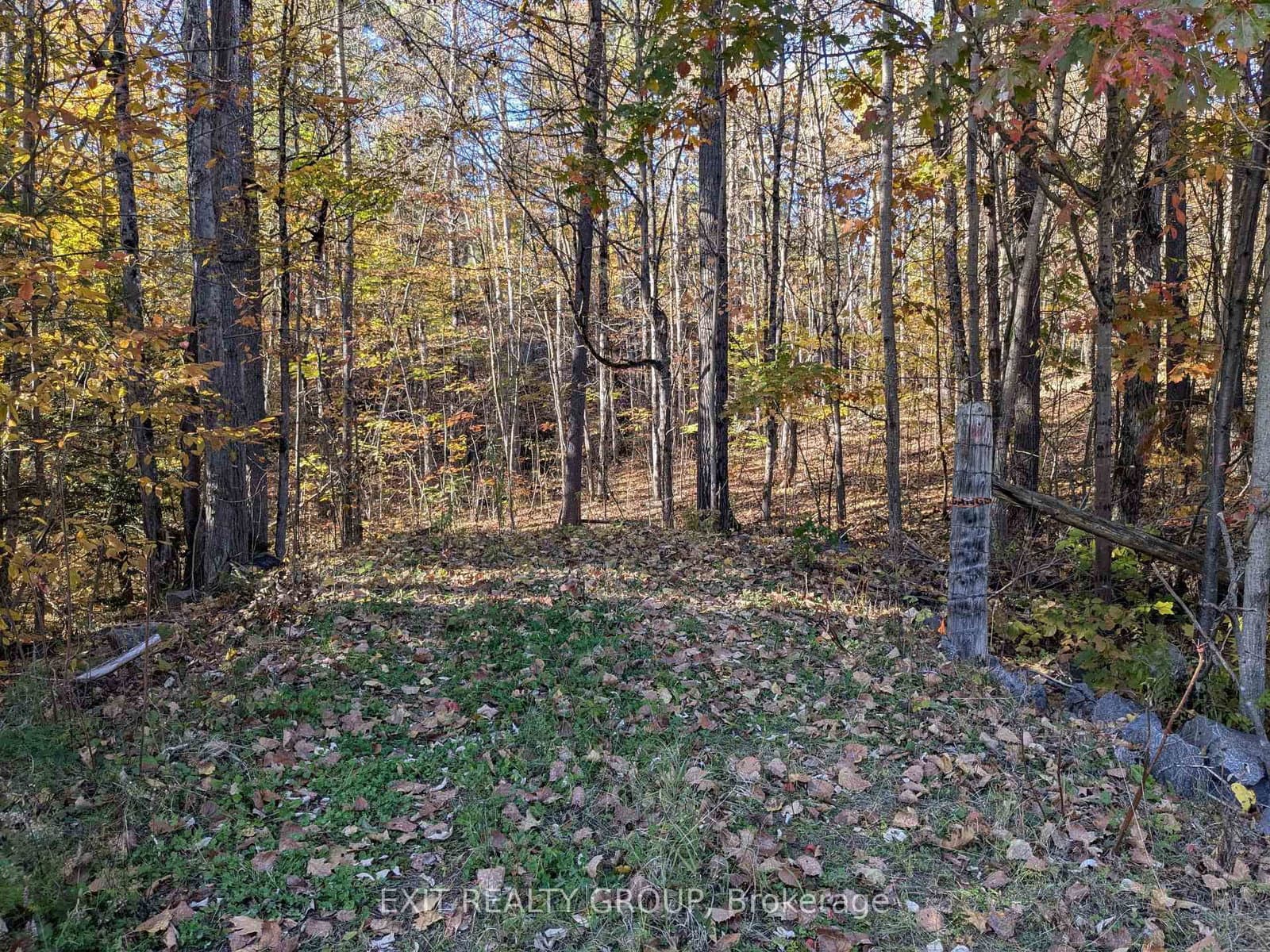 0 Flinton Road, Tweed, ON