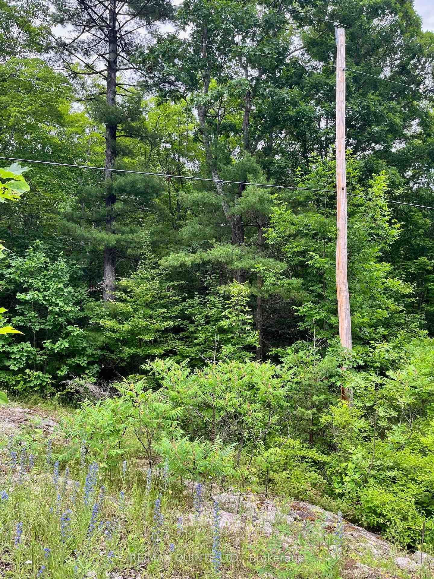 0 (PIN - 40264- Potter Settlement Road, Tweed, ON