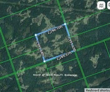 0A Flinton Road, Tweed, ON