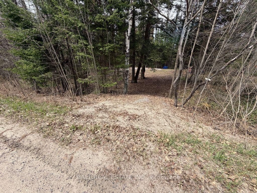 0 Quarry Road, Bancroft, ON — photo 3