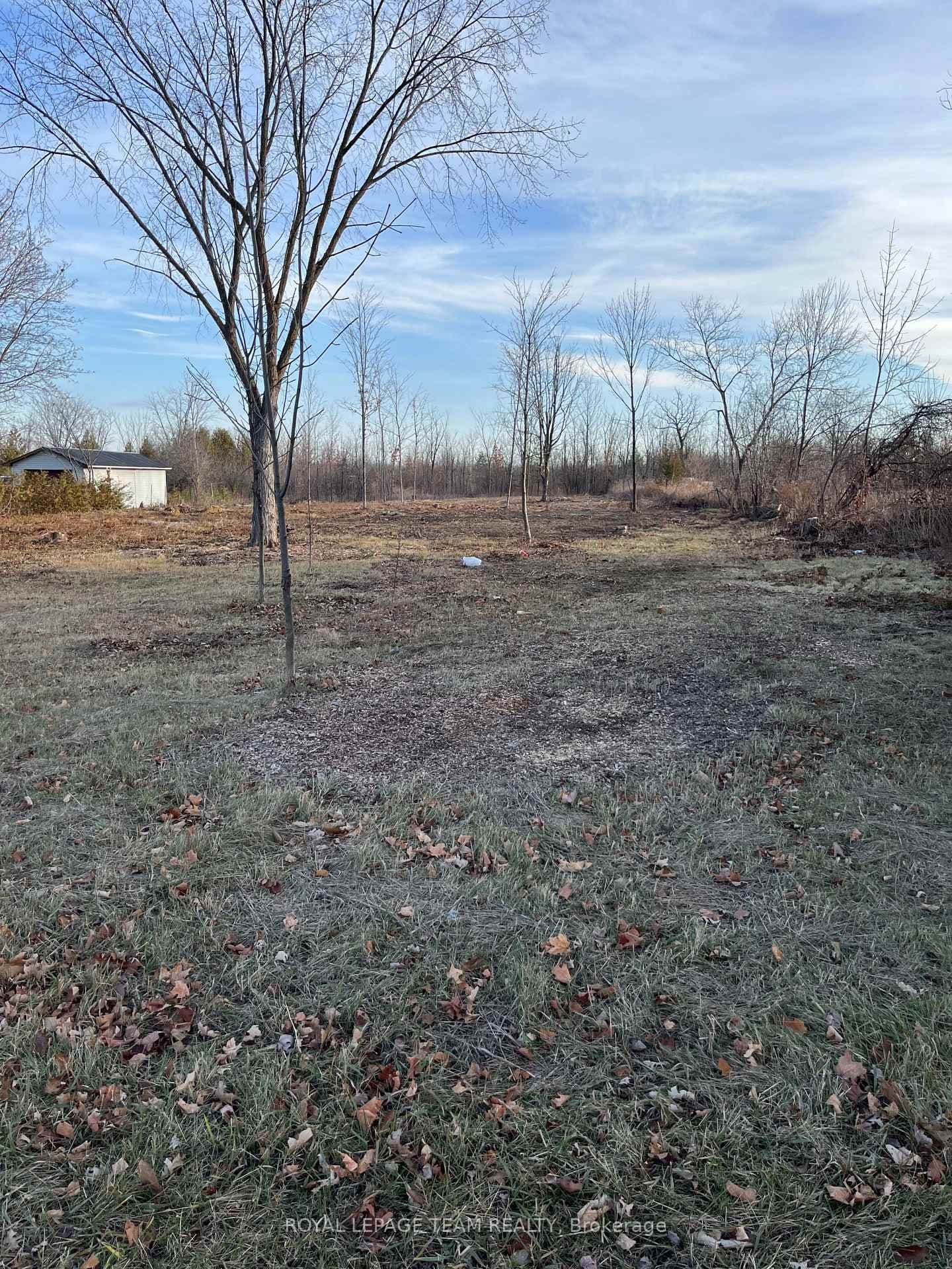 8645 Bank Street, Vernon, ON — photo 2