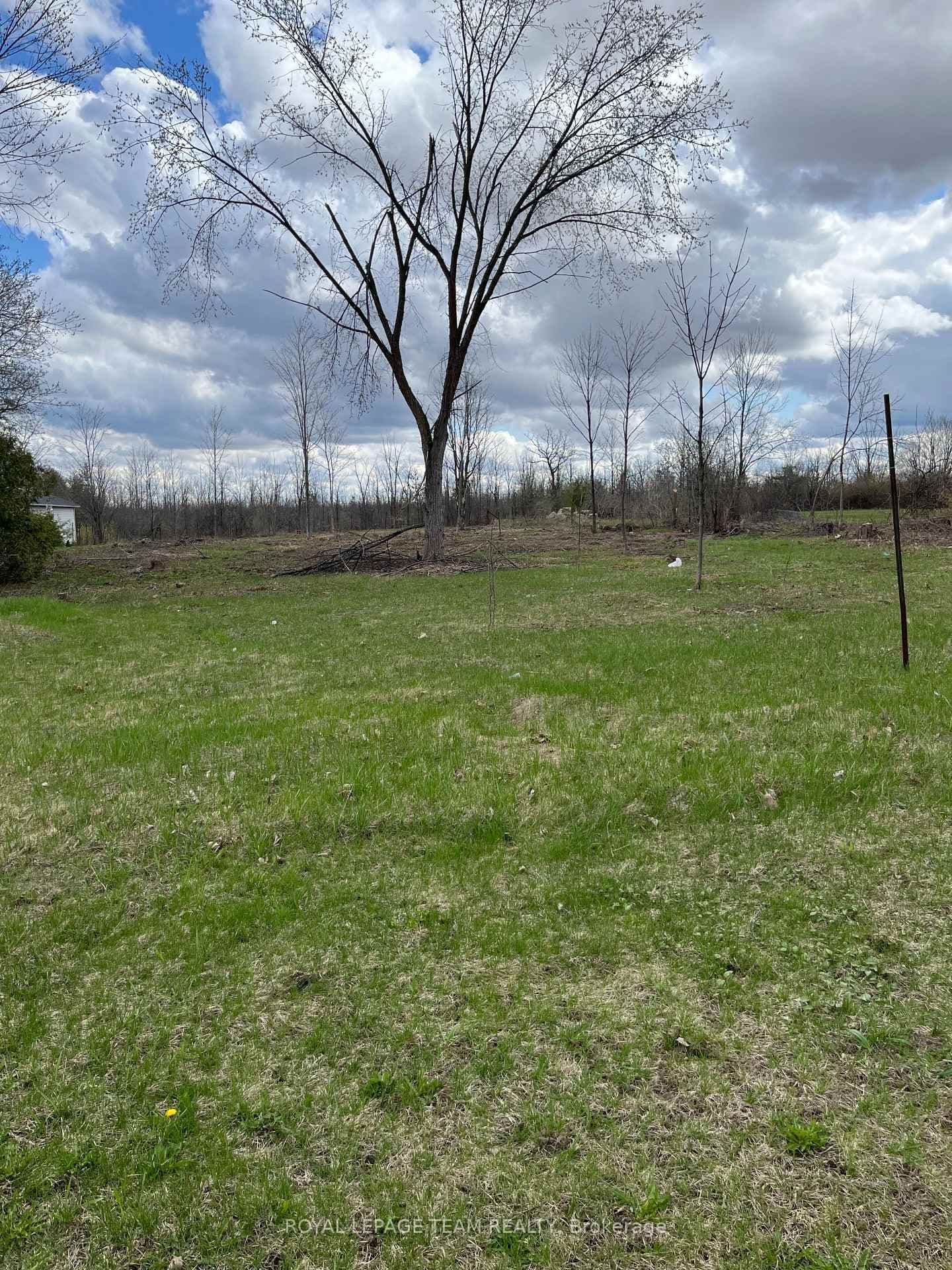 8645 Bank Street, Vernon, ON — photo 3