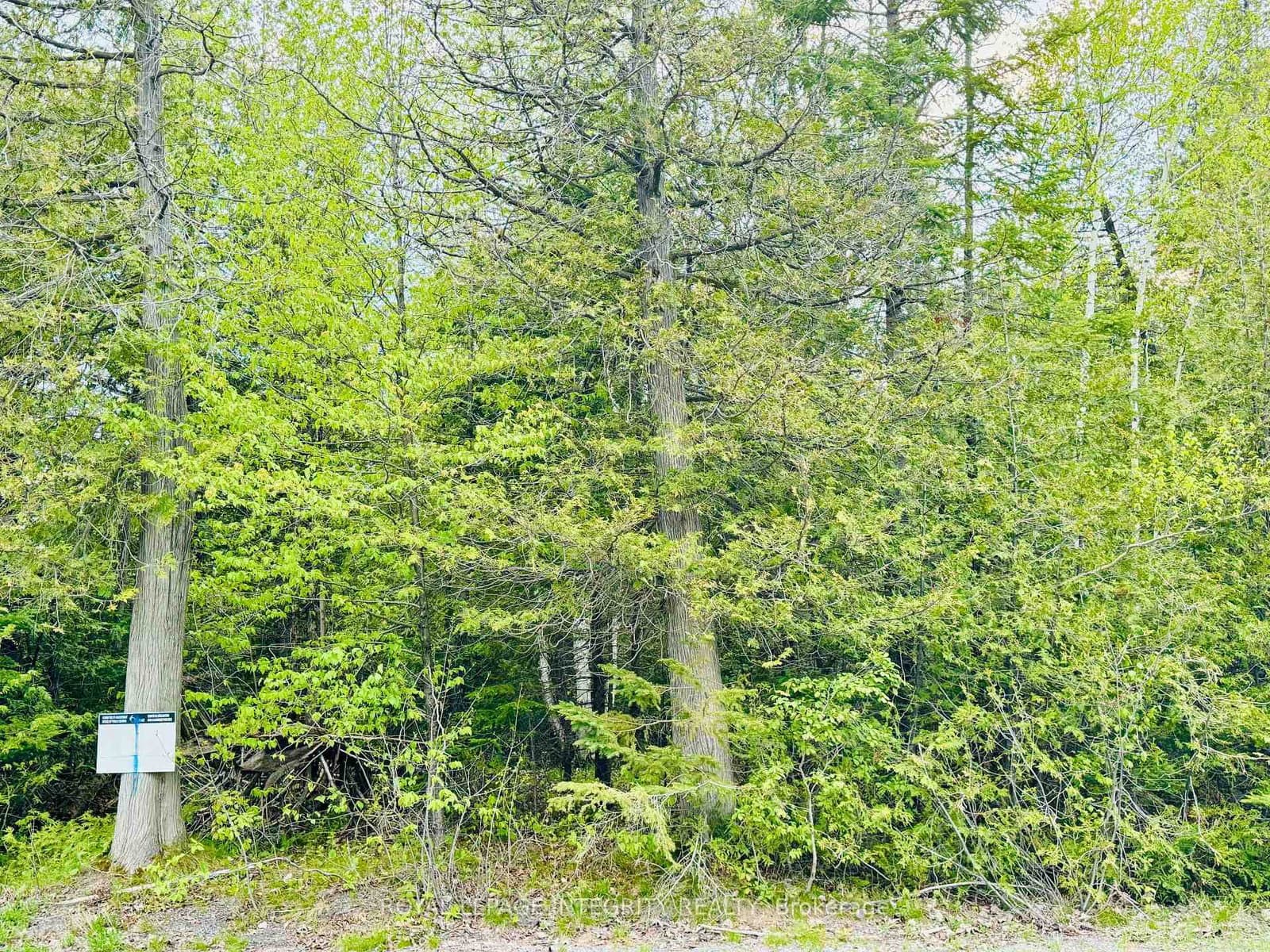 7110 Gallagher Road, North Gower, ON — photo 2