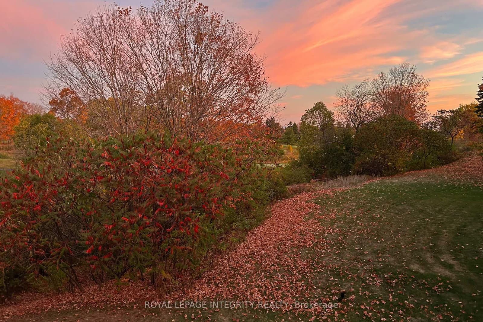 50 Rosenfeld Crescent, Ottawa, ON — photo 3