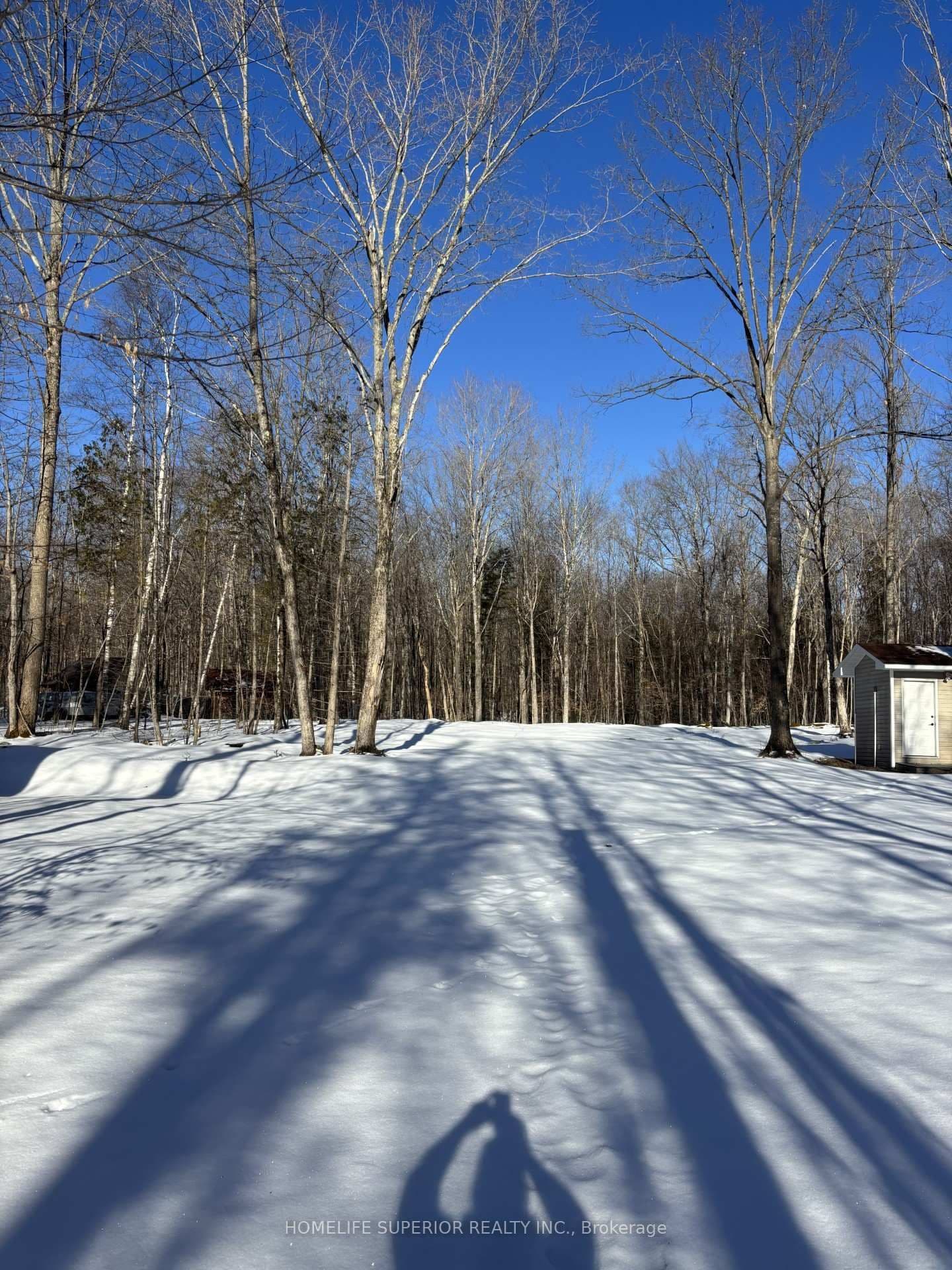 366 Swinburne Lane, Stirling-Rawdon, ON — photo 3