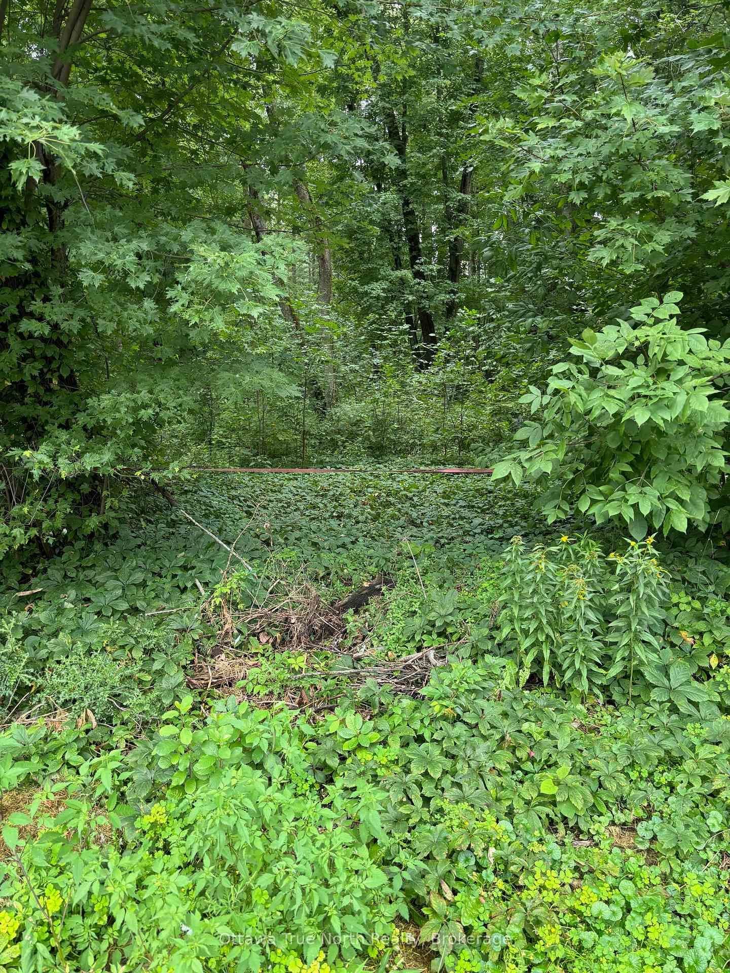 101 Allbirch Road, Ottawa, ON — photo 2