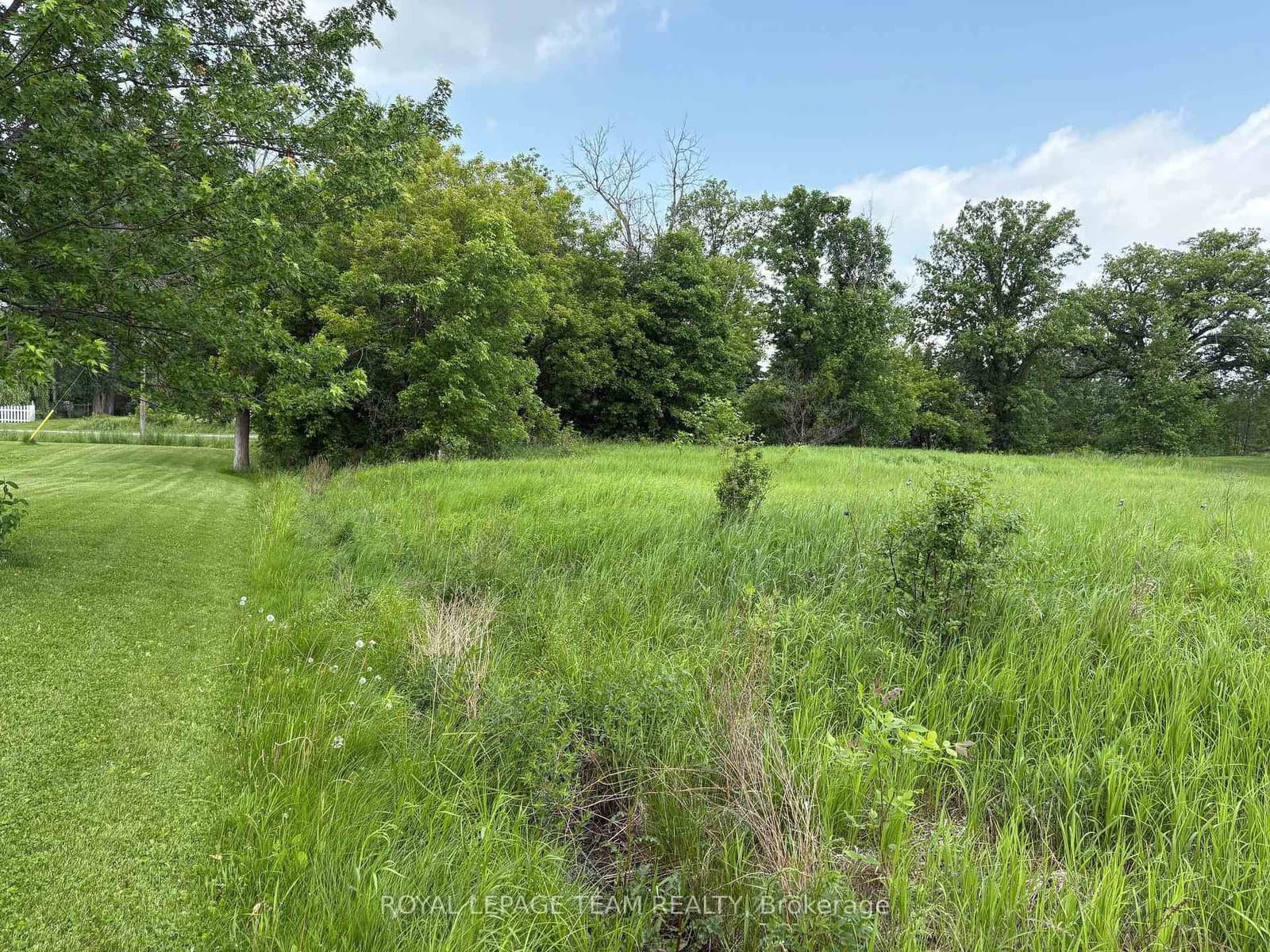 161 Old Pakenham Road, Fitzroy Harbour, ON — photo 3