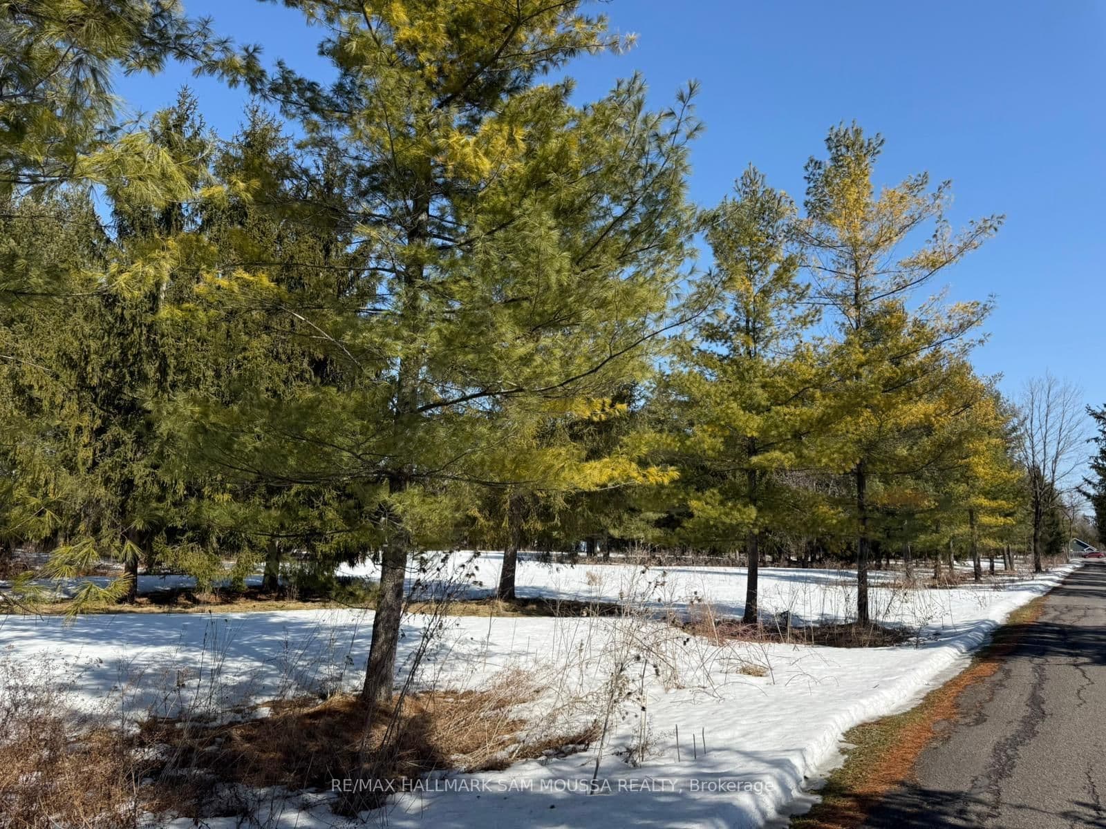 970 Cameron Street, Ottawa, ON — photo 3