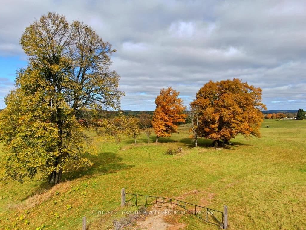 649 Detlor Road, Bancroft, ON