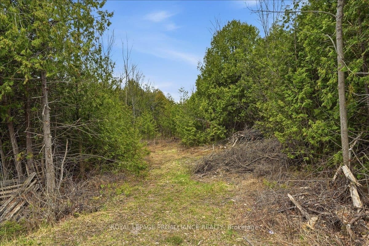 0 Quin Mo Lac Road, Tweed, ON — photo 2