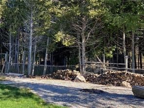 2916 Shannonville Road, Tyendinaga, ON — photo 2