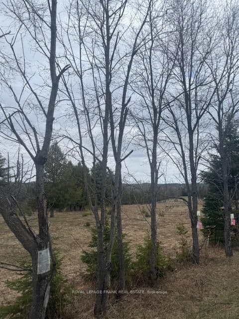 Lot 1 Detlor Road, Bancroft, ON — photo 2