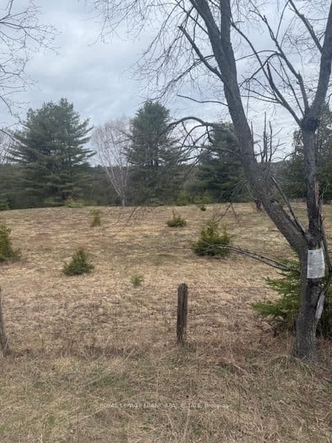 Lot 2 Detlor Road, Bancroft, ON