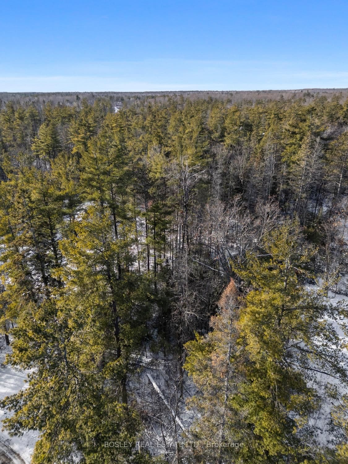 00 Pineview Court, Limoges, ON