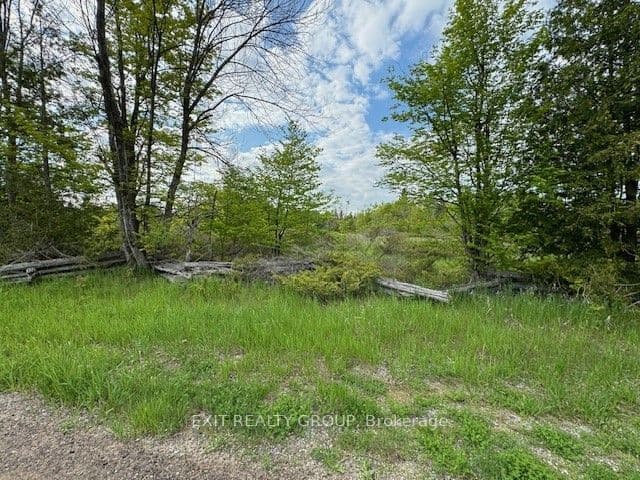 PT LT 3 Con 11 Bateman Road, Stirling-Rawdon, ON — photo 3